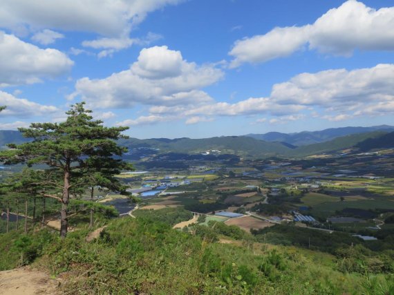 지리산둘레길·대관령숲길 등 4곳 국가숲길 첫 지정