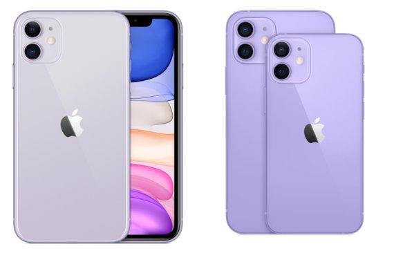아이폰11 퍼플과 아이폰12 퍼플 비교. © 뉴스1