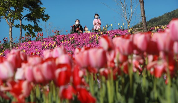 경남 함양군 마천면 함양생태체험장을 찾은 아이들이 형형색색의 꽃을 피운 튤립을 바라보며 즐거운 한때를 보내고 있다. (함양군 김용만 제공) 2021.4.15/뉴스1