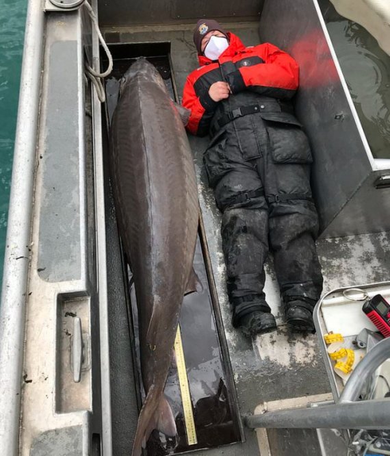 240파운드의 철갑상어를 잡은 남성이 철갑상어 옆에 누워있다. (데일리메일 갈무리) © 뉴스1