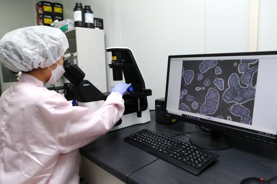 차바이오텍 연구원이 배양중인 줄기세포를 확인하고 있다.