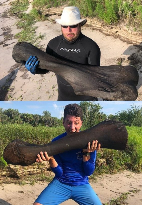 다이버 헨리 새들러(위)는 콜럼비아 매머드의 50파운드에 달하는 대퇴골을 들어올리고 있다. 그와 친구 데릭 데메터(아래)는 플로리다 남서부 피스강에서 스쿠버 다이빙을 하던 중 이 뼈를 발견했다. (데일리메일 갈무리) © 뉴스1