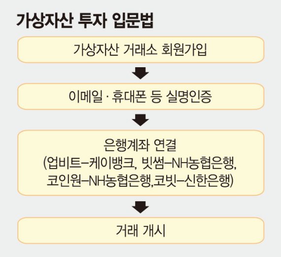 "도지코인 ‘몰빵’ 금물… 비트코인 같은 대장주에 장기투자하라"
