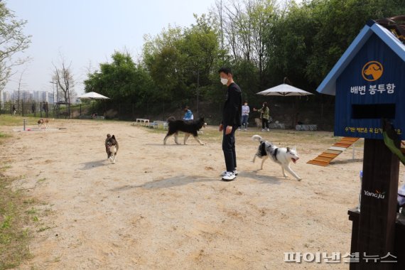 양주시 ‘반려견 놀이터’ 시범운영…인기 고공비행