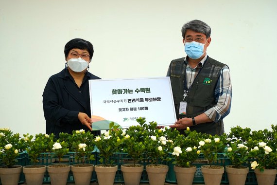 “반려식물로 우울감을 해소하세요”