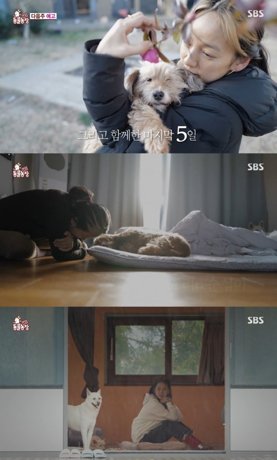 [서울=뉴시스]지난 9일 방송된 'TV 동물농장'. (사진=SBS 'TV 동물농장' 제공) 2021.05.10. photo@newsis.com