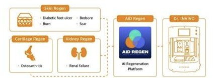 AI 장기재생 플랫폼 'AiD Regen'. 사진=로킷헬스케어