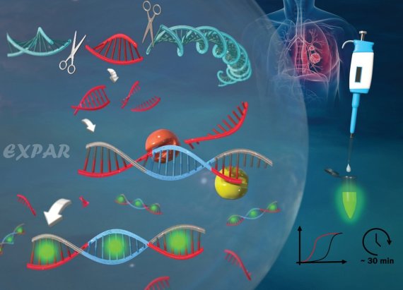 크리스퍼 케스9 시스템에 의해 작동되는 엑스파 반응을 이용해 표적 유전자 돌연변이를 찾아냈다. 이 사진은 영국왕립화학회가 발간하는 국제 학술지 '나노스케일'의 2021년 15호 표지. KAIST 제공