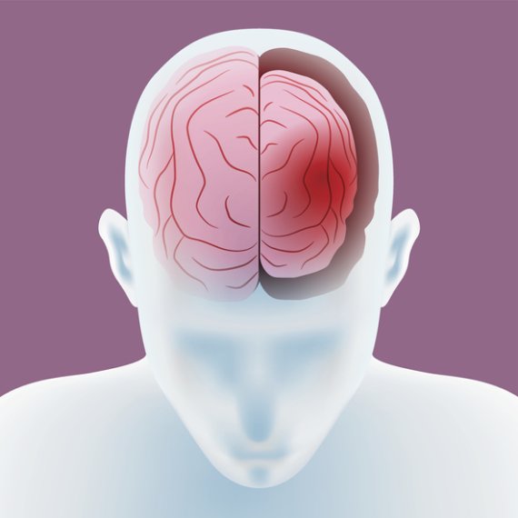 뇌 발달과 뇌 기능 조절. 게티이미지 제공