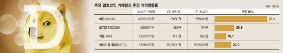 리플·도지 등 알트코인에 꽂힌 한국인… 투자 경고음 커진다