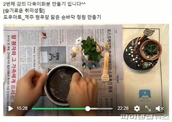 나만의 다육이 화분 만들기 온라인 프로그램