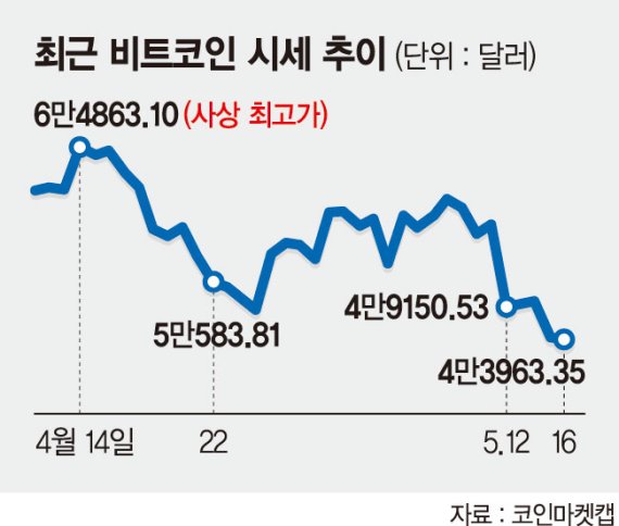 머스크 입에 10% 폭락.. 이정도면 '코인 투기판'