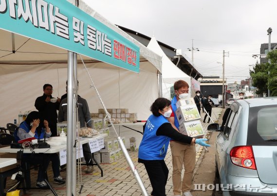 [fn포토] 전국 최고 마늘…제주 대정암반수 마농박람회