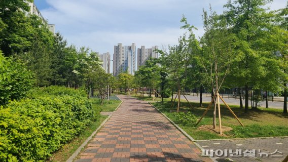 김포시 오솔길공원 수국꽃길 조성. 사진제공=김포시