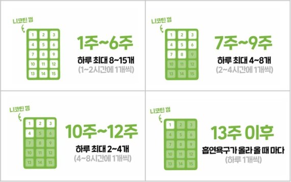 주차별 니코틴 껌 사용방법 *재판매 및 DB 금지