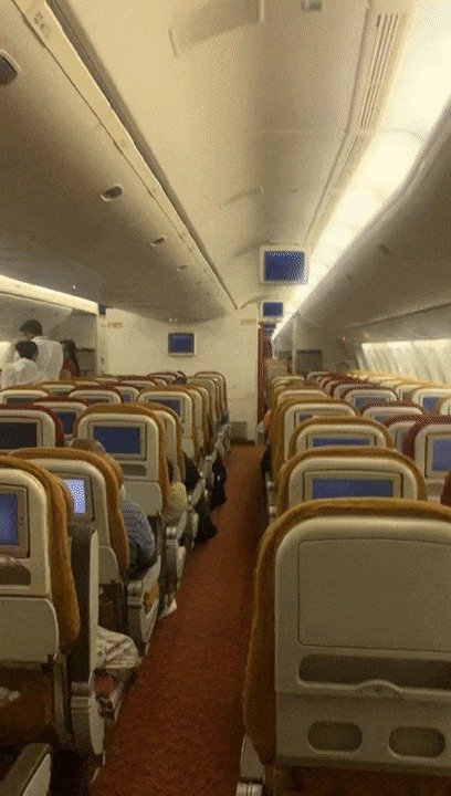 지난 28일(현지시간) 영국 매체 더 선은 미국행 에어 인디아 항공편에서 박쥐가 날아다녀 회항한 사건을 보도했다. (더 선 갈무리) © 뉴스1