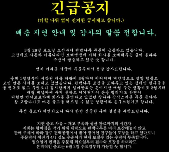 편백나무 대란 사장, 폐업 위기에도 감동 선사.. "돈쭐내주자"