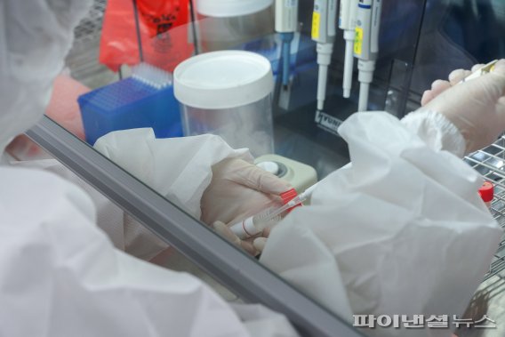 제주지역 ‘변이 바이러스’ 비상…남아공발도 첫 확인