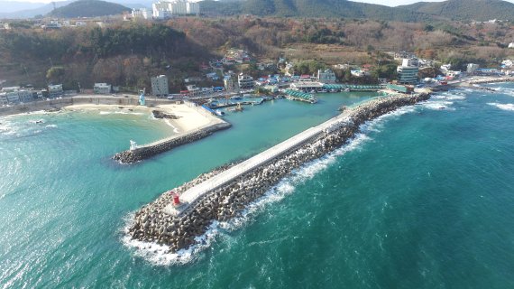 동해시, 수산자원 조성...쥐노래미 3만 2천마리 방류