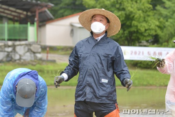 양평군 ‘토종벼 손모내기’ 개최…토종자원 가치확산