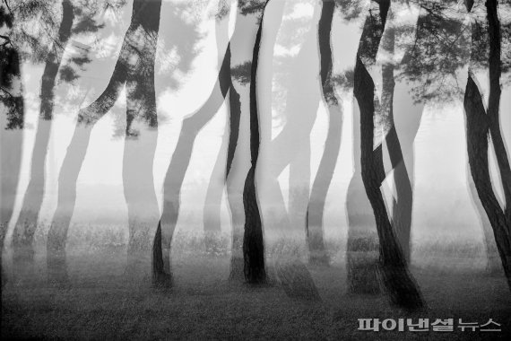 박노숙_松 悲歌