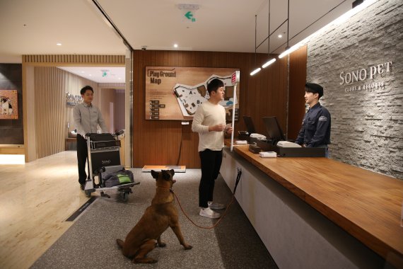 대명그룹 소노펫클럽&리조트 소노펫 비발디파크 E동에서 고객이 체크인을 하고 있다.(소노호텔&리조트 제공) 2021.6.4/뉴스1