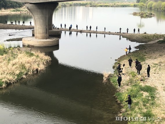 2019년 4월에 열린 울산 태화강 배스 낚시 대회 열린 울산 중구 삼호교 인근의 모습 /사진=fnDB