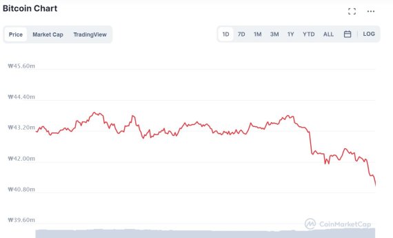 4일 하루동안 비트코인 가격 변화 추이./ 사진=코인마켓캡