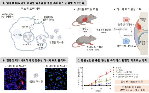 관절염 일으키는 세포만 찾아내 염증 줄였다