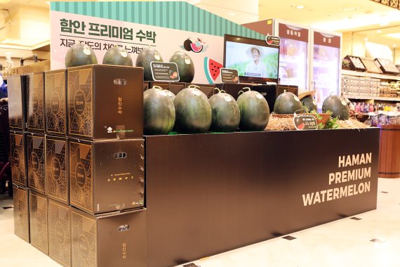 신세계백화점 강남점 함안 프리미엄 수박 매대 전경. 한진 제공.