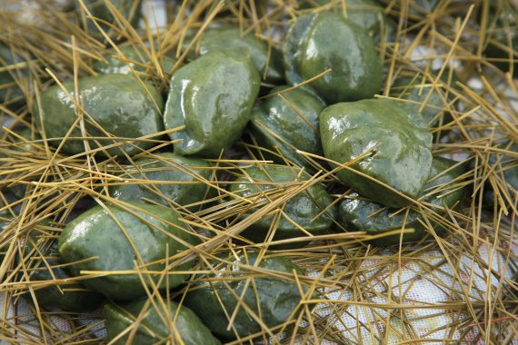 [서울=뉴시스] 성은 남이흥 종가의 찐 송편 (사진=문화재청 제공) 2021.06.08. photo@newsis.com