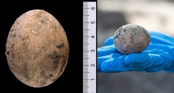 똥통에서 1000년 버틴 '완벽한' 달걀 발굴