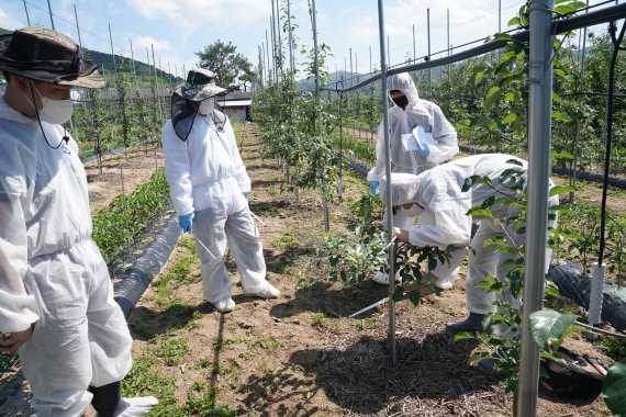 경북도, 과수화상병 확산방지 총력 대응