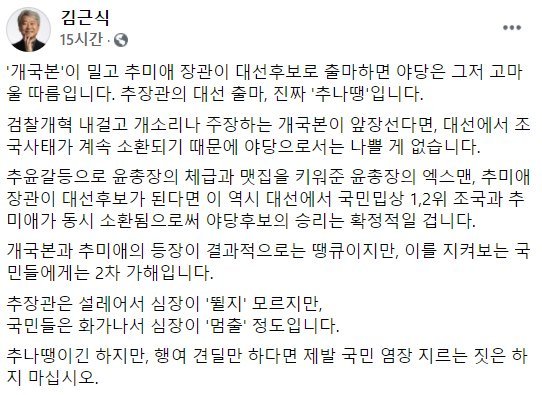 김근식 “‘엑스맨’ 추미애 대선 나와 달라, 야당은 땡큐”