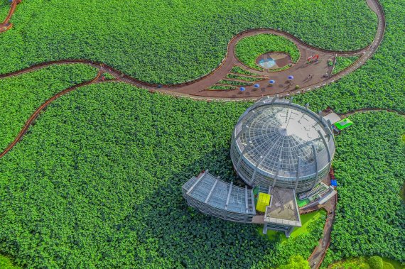 무안군, 연꽃축제 일정 확정...축제준비 본격 돌입