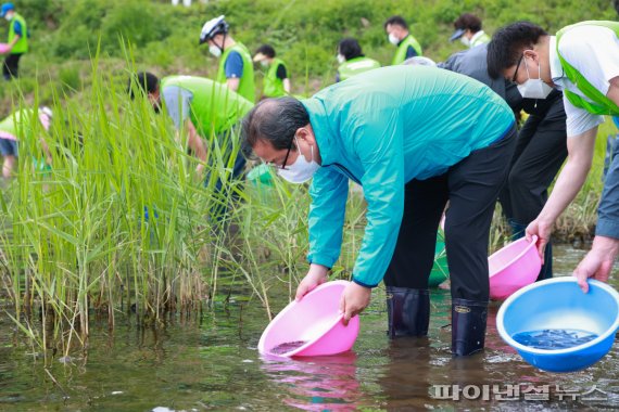 남양주시 붕어 63만마리 방류…동양하루살이 천적