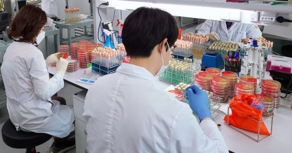 광주광역시 보건환경연구원, 수산물 비브리오 안전성 검사 강화