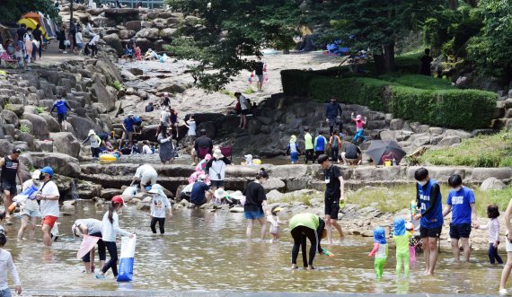 관악산 계곡 물놀이