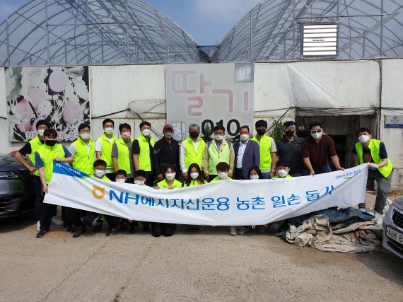 NH헤지자산운용, 영농철 농촌 일손 돕기