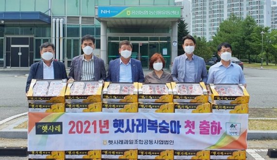 [음성=뉴시스]햇사레복숭아 2021년 첫 출하. (사진=음성군 제공) photo@newsis.com *재판매 및 DB 금지