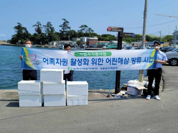 한국수력원자력 새울원자력본부(본부장 이상민)는 23일 울주군 7개 어촌계 연안에서 어린해삼 9만8000마리를 방류했다. /사진=새울원자력본부 제공