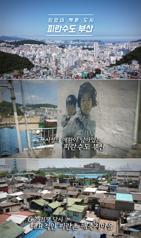 한국어 영상의 주요 장면 /사진=서경덕 교수