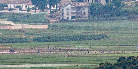 파주 접경지역에서 바라본 북한 개풍군 마을 일대. 2021.6.18/뉴스1 © News1 이승배 기자