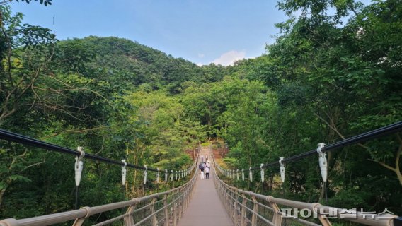 연천군 한탄강 세계지질공원 관광활력 ‘시동’