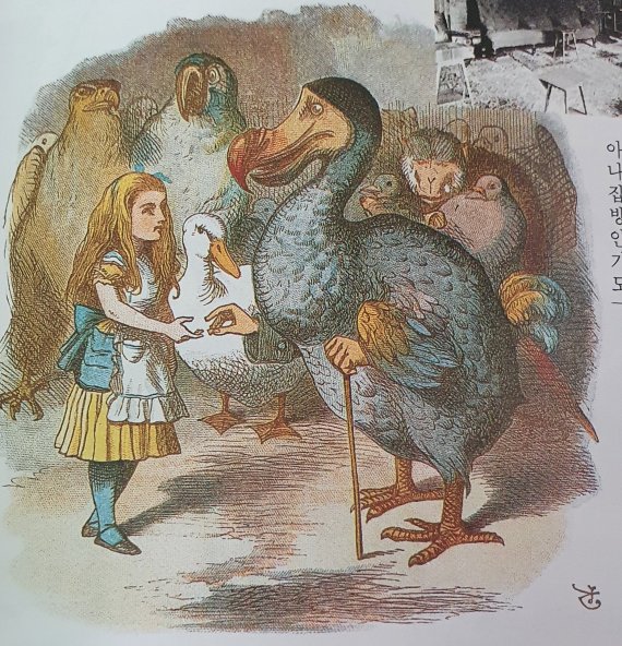 '이상한 나라의 앨리스'에서 앨리스가 도도새와 만나는 장면. 출판사 시공디스커버리 제공