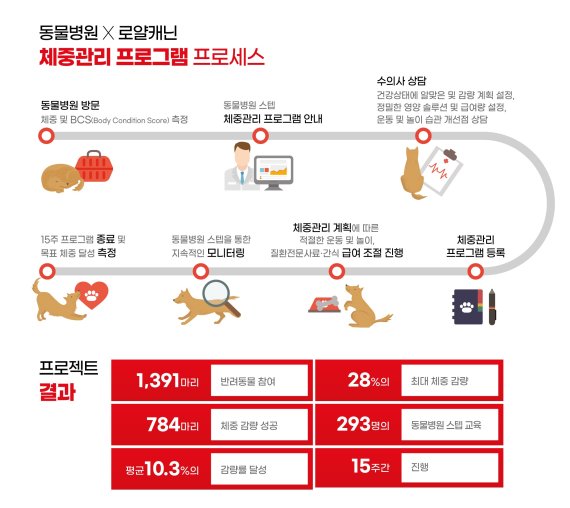 로얄캐닌과 동물병원이 함께한 체계적 체중관리 프로그램 프로세스와 주요 성과. 로얄캐닌 제공.