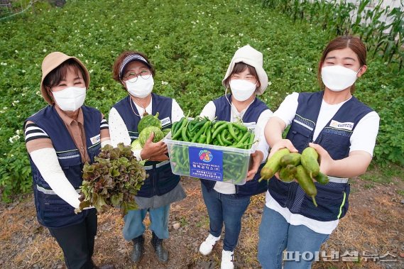 29일 제주신화월드 행복공작소에서 수확한 유기농 농산물.