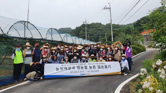 경기도 농정해양국, 안성 포도농가 '일손돕기 나서'