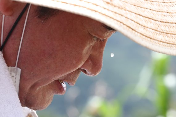 지난해 8월 13일 당시 이낙연 더불어민주당 당대표 후보가 수해 피해를 입은 충남 금산 제원면 대산리 인삼밭을 찾아 복구작업을 하고 있다. 2020.8.13/뉴스1 © News1 김기태 기자