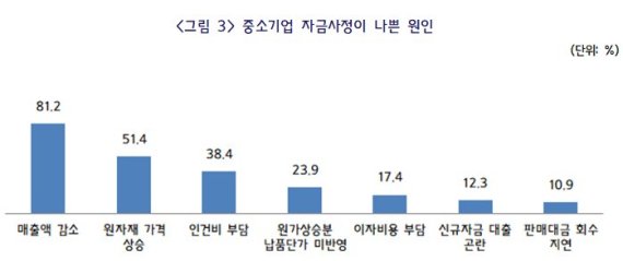 中企 자금난 주요 원인 "매출감소·원자재값 상승·인건비 부담"